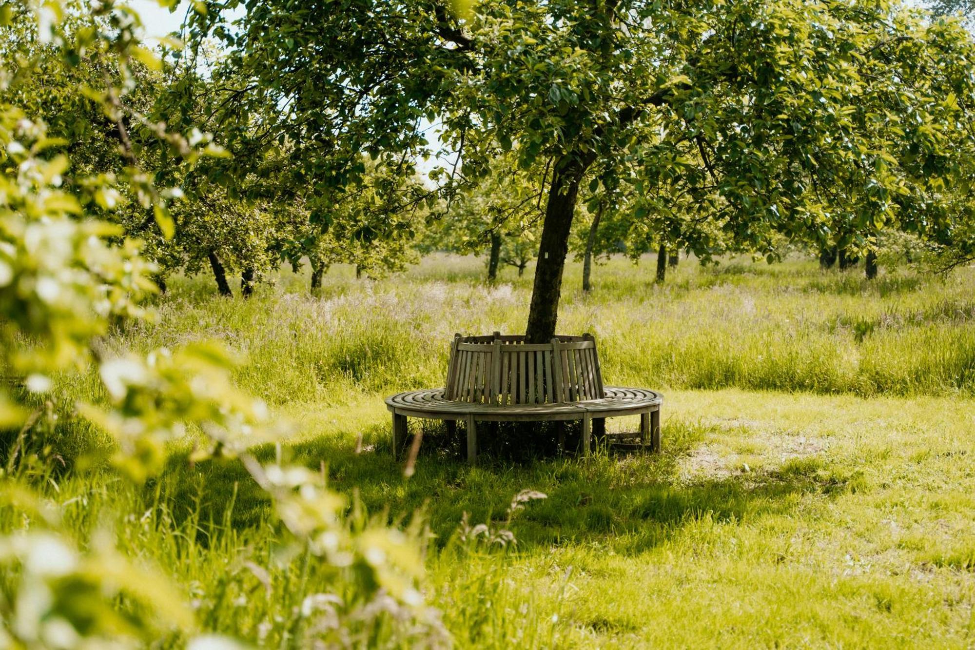 Cottage Landgoed Frymerson Sint Odilienberg Экстерьер фото