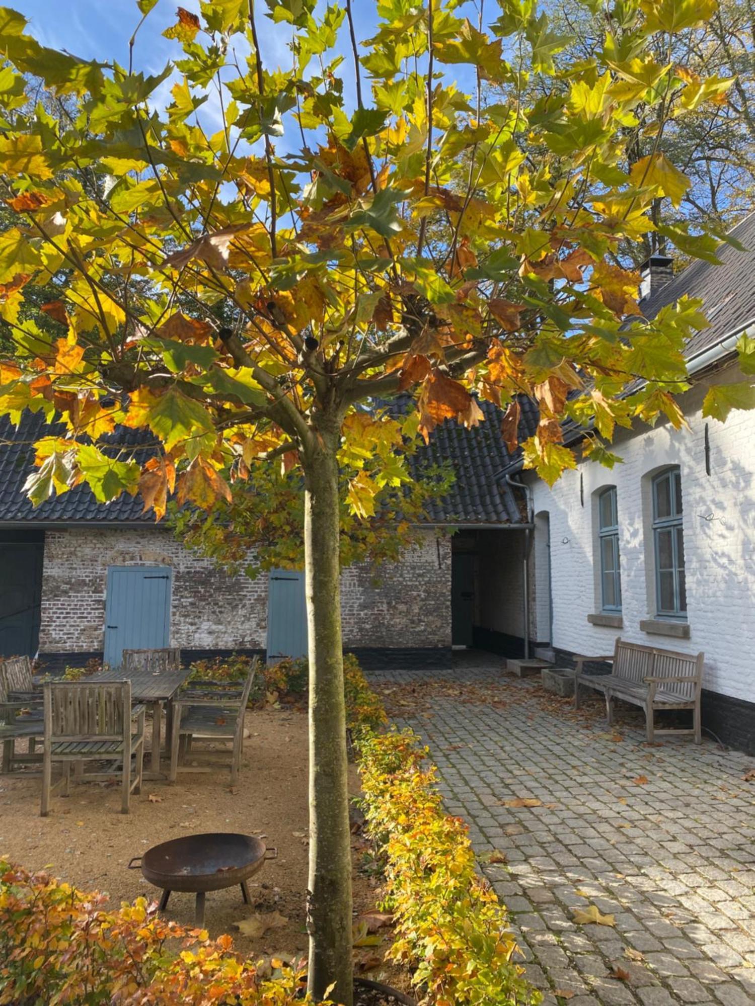 Cottage Landgoed Frymerson Sint Odilienberg Экстерьер фото